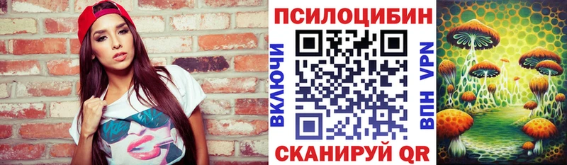 Псилоцибиновые грибы Cubensis закладка блэк спрут ССЫЛКА Кореновск